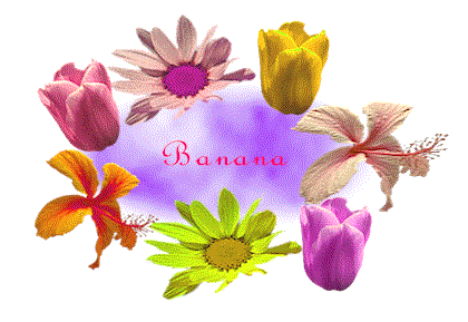 flowertitle.gif (35042 bytes)