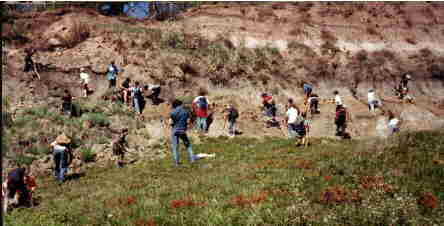 Climbing Fossil Hill