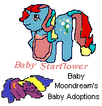 Baby Starflower