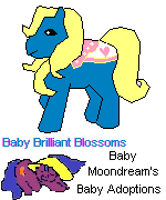 Baby Brillant Blossoms!