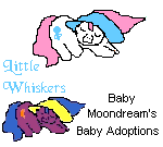 Baby Little Whiskers