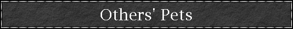 Others' Pets
