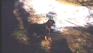 Her 1st time to play in water