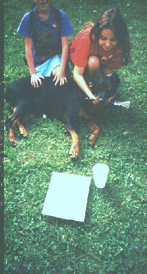 Girls teach her to paint