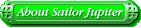 About Sailor Jupiter