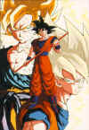 GOKU.jpg (40623 bytes)