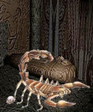 Scorpione non morto, rinchiuso in attesa di essere utilizzato.