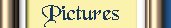 Pictures