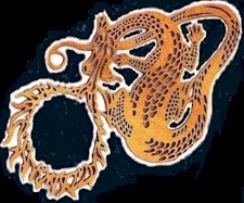 spin.jpg (20998 bytes)