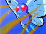 A cute little Butterfree...