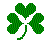 shamrock.gif (514 bytes)