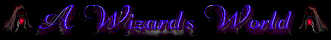 wiz-head-2.gif (12311 bytes)