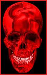 Back to the beginning