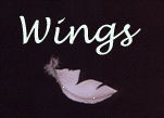 wings