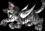 Adopted this cutie at Downloadable Dragons and Friends (Just click on the cat to get there)