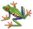 frog11.gif (4886 bytes)