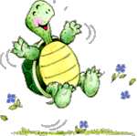 Turtle celebrating