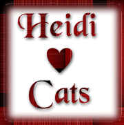 Heidi luvs cats