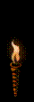 torch.gif (8545 bytes)