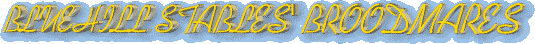 BLUEHILL STABLES BROODMARES