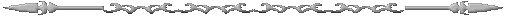 silver lance bar