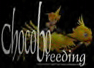 Chocobo Breeding