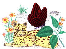 2hcat2.jpg (13848 bytes)