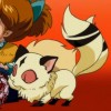 Kirara - cute version