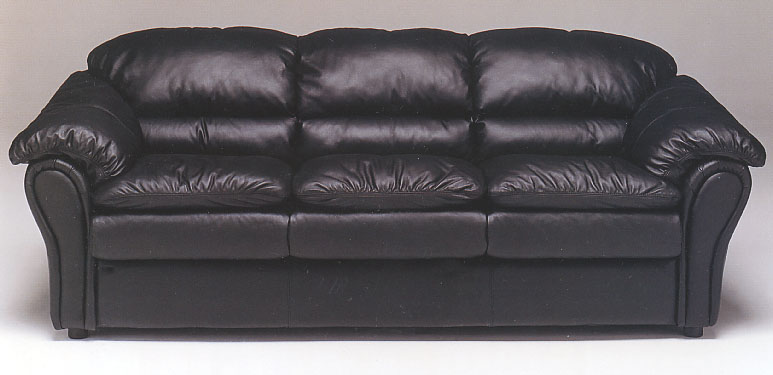 Black Leather Couch.jpg (48722 bytes)