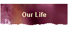 Our Life