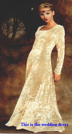 Wdress.jpg (3826414 bytes)