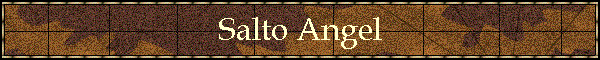 Salto Angel