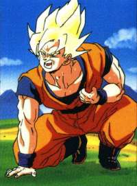 Gokuu ya no puede por su emfermedad del corazon