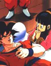 Gokuu se esta recuperando