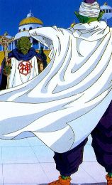 Piccoro llega al palacio de Kami-Sama