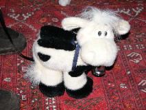 Heidi's "Ch&uuml;eli"