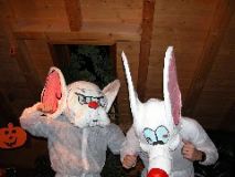 Pinky &am
<center>

  <div>
<br>
<script language=