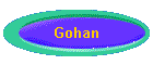 Gohan