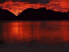 pt8b.jpg (10330 bytes)