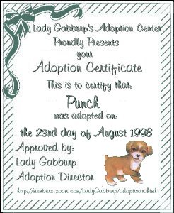 adoption certificate