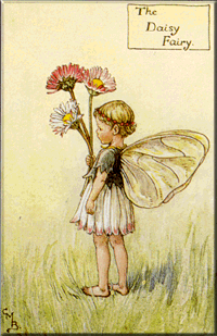 daisy.gif (43159 bytes)