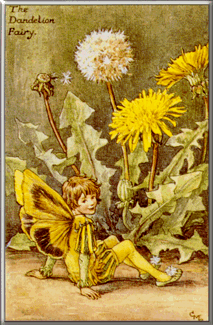 dandelion.gif (59609 bytes)