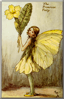 primrose.gif (52473 bytes)