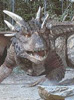 Dragons4sm.jpg - 10.49 K