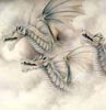 snowdragonssm.jpg - 6.93 K