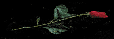 Know everyone...trust noone...