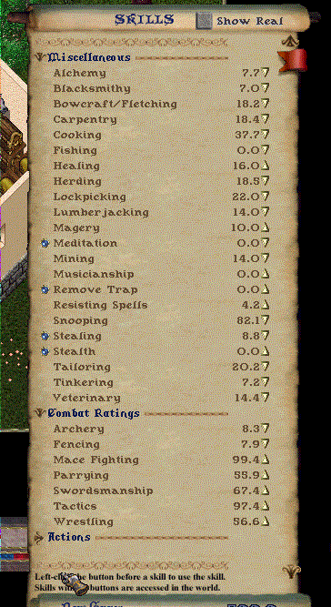 Skills1.gif (96285 bytes)