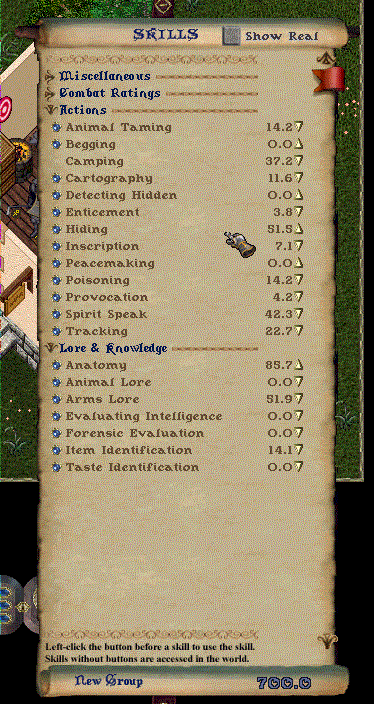 Skills2.gif (111472 bytes)