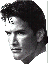 11aspen.gif (2825 bytes)