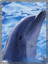 AN-DOLPHIN.GIF (3838 bytes)